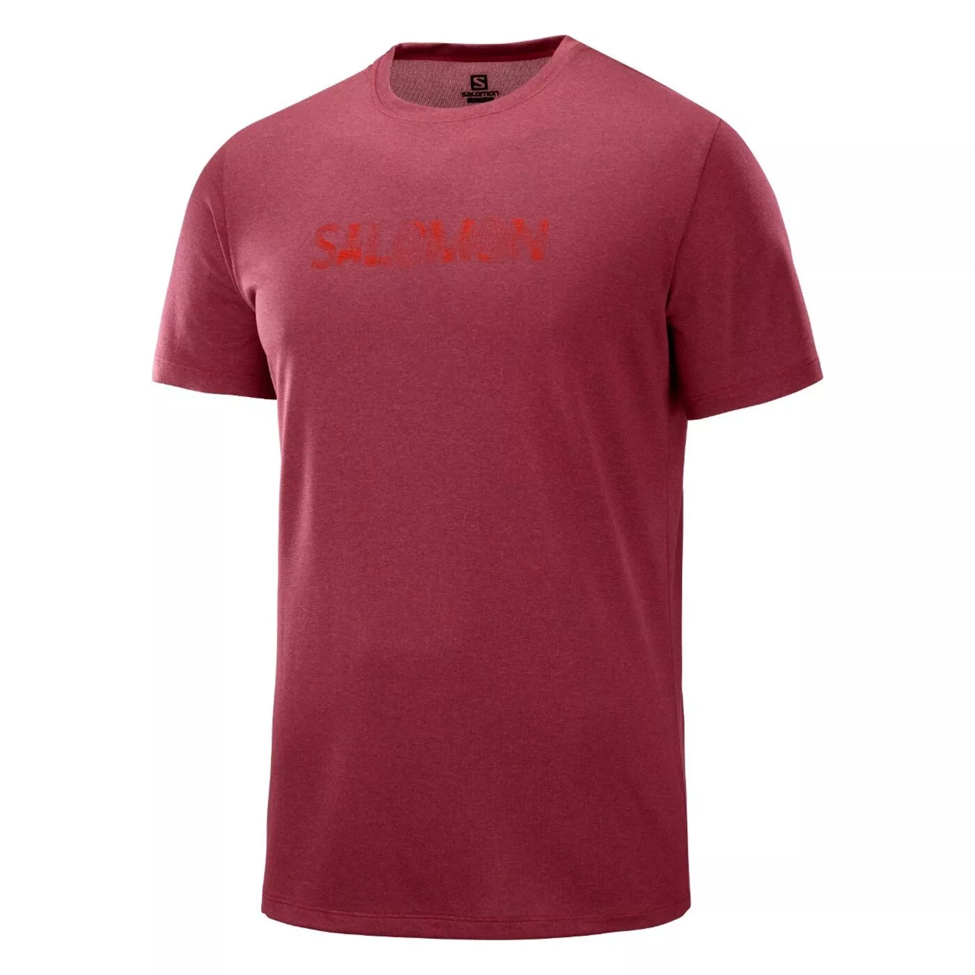 Salomon agile graphic tee best sale