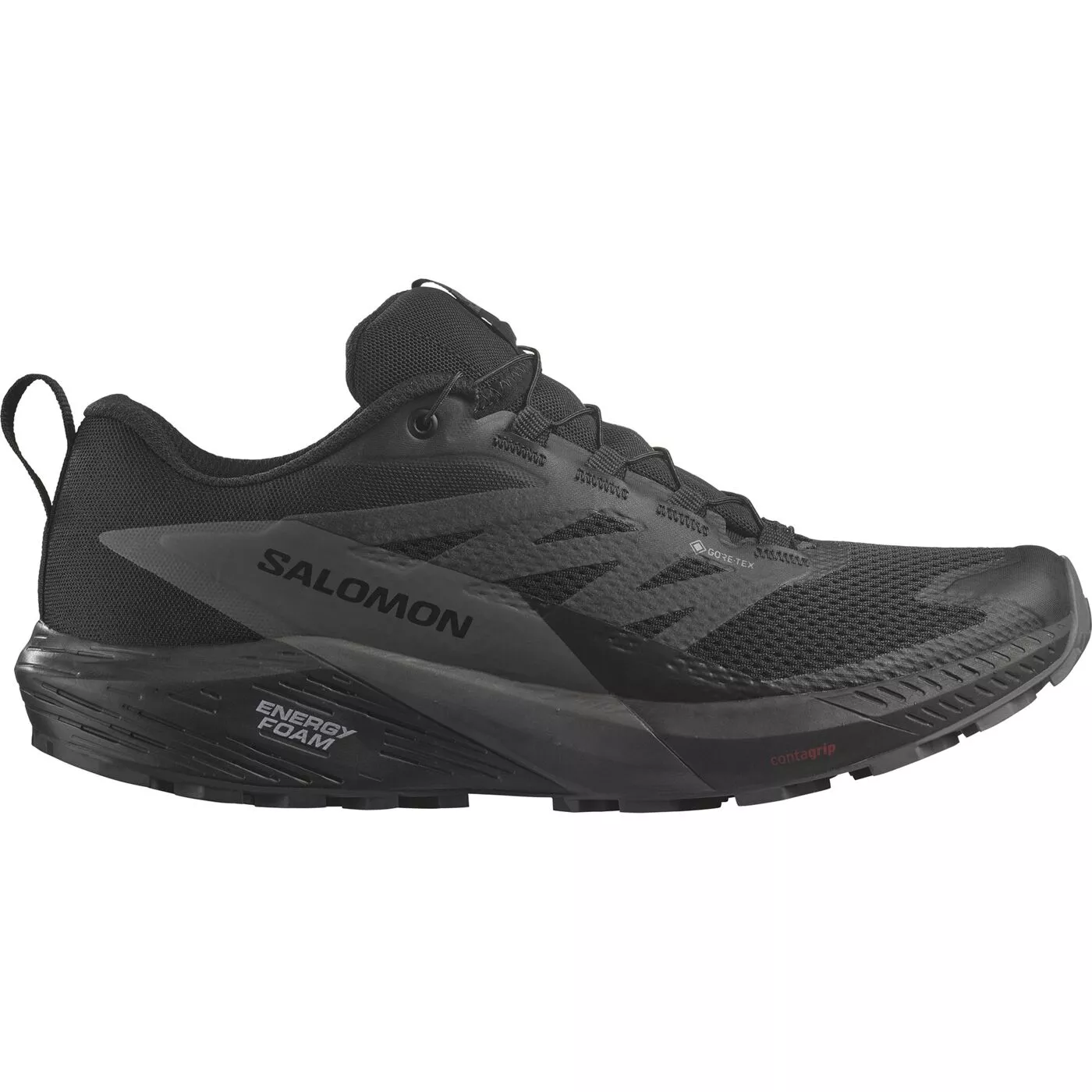 Herren Trail Laufschuhe SALOMON SENSE RIDE 5 GTX L47147200