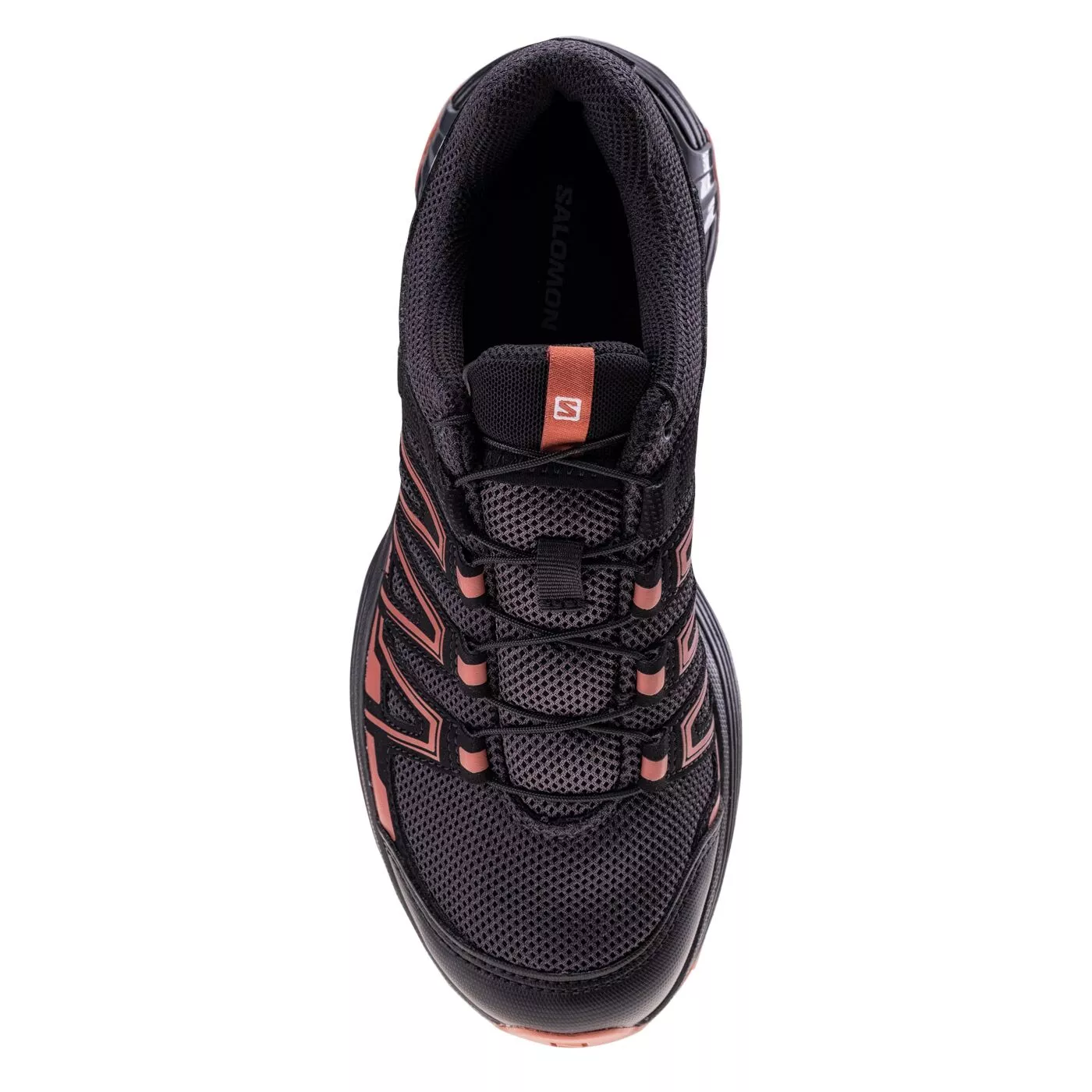 Xt inari online