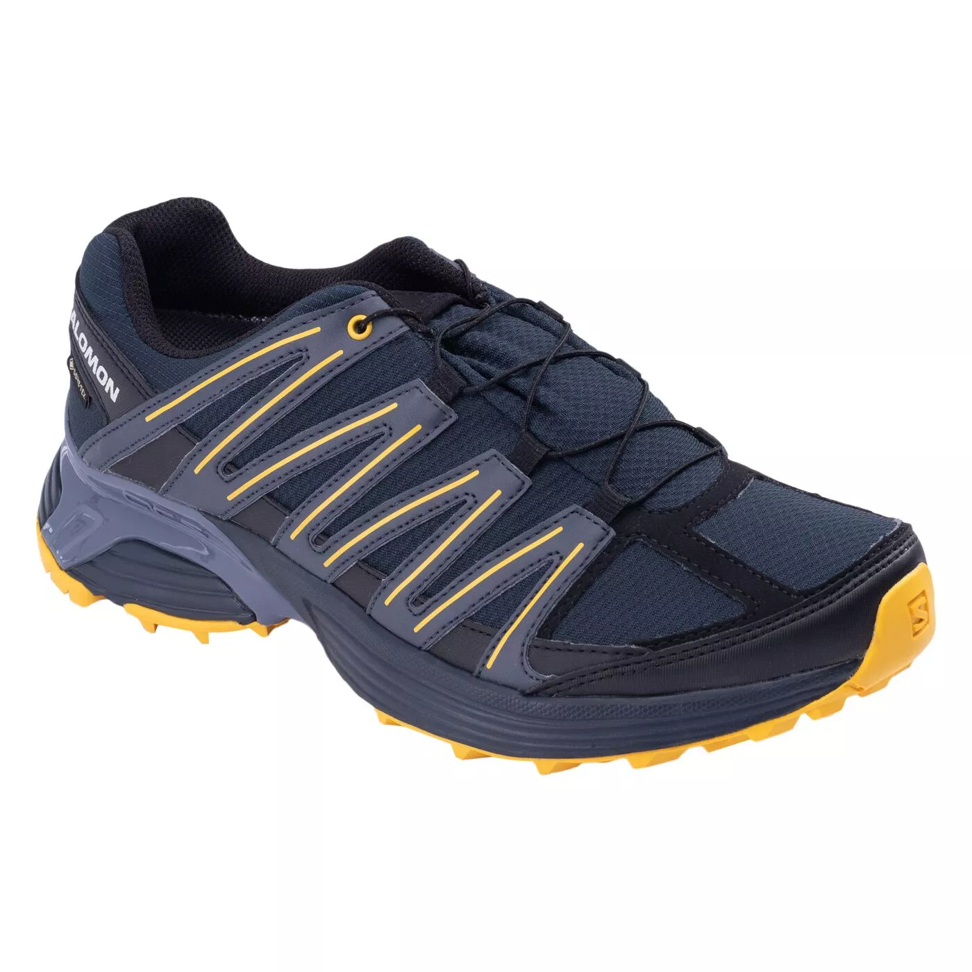 Herren Trail Laufschuhe SALOMON XT BACKBONE PRIME GTX L47581400