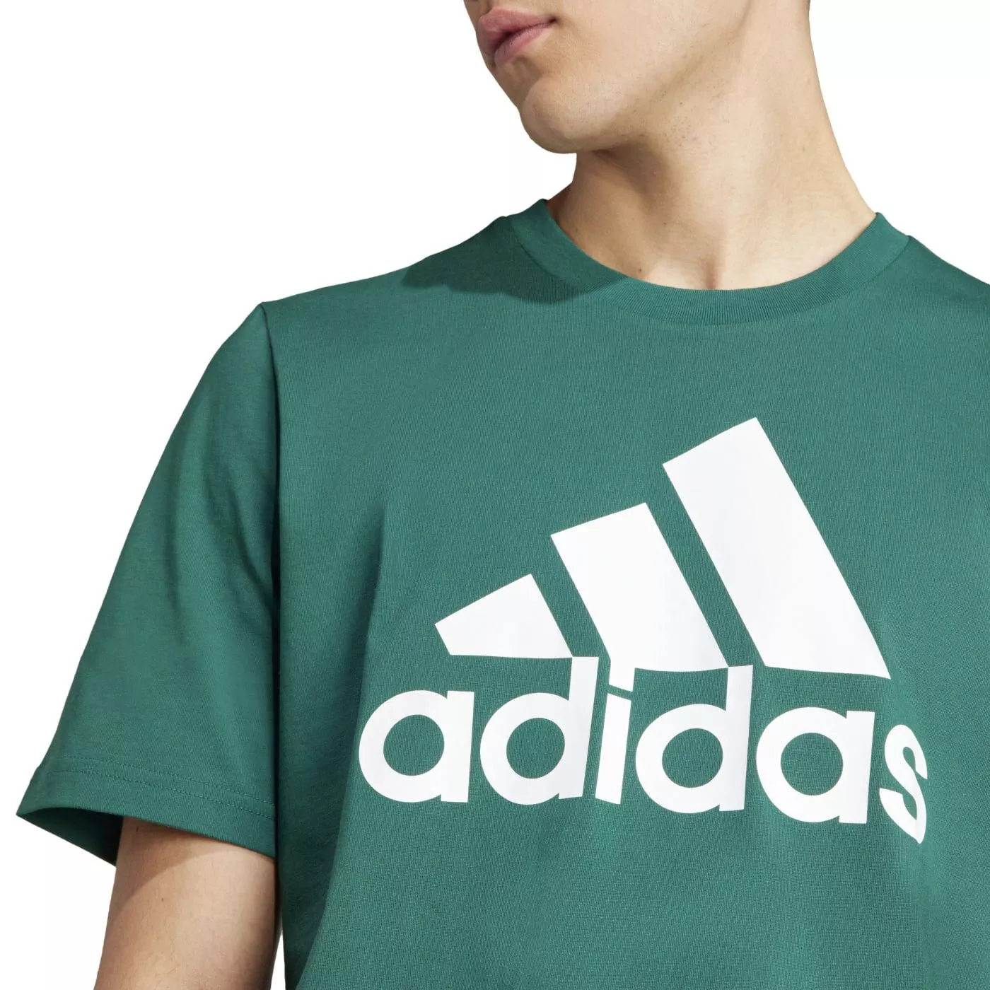 Herren T Shirt M BL SJ T