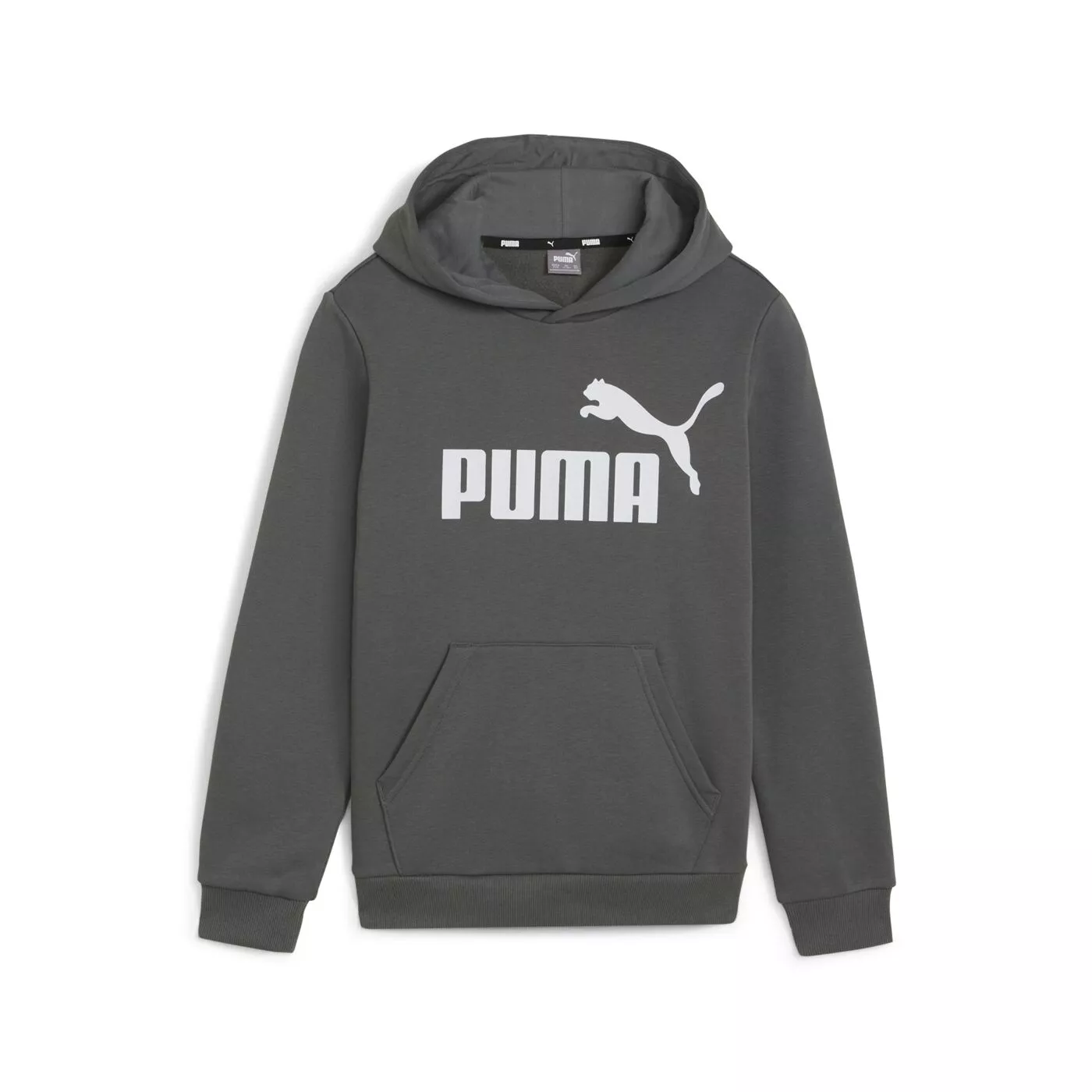 Kinder Kapuzenpulli Sweatshirt PUMA ESS BIG LOGO HOODIE FL B 58696560