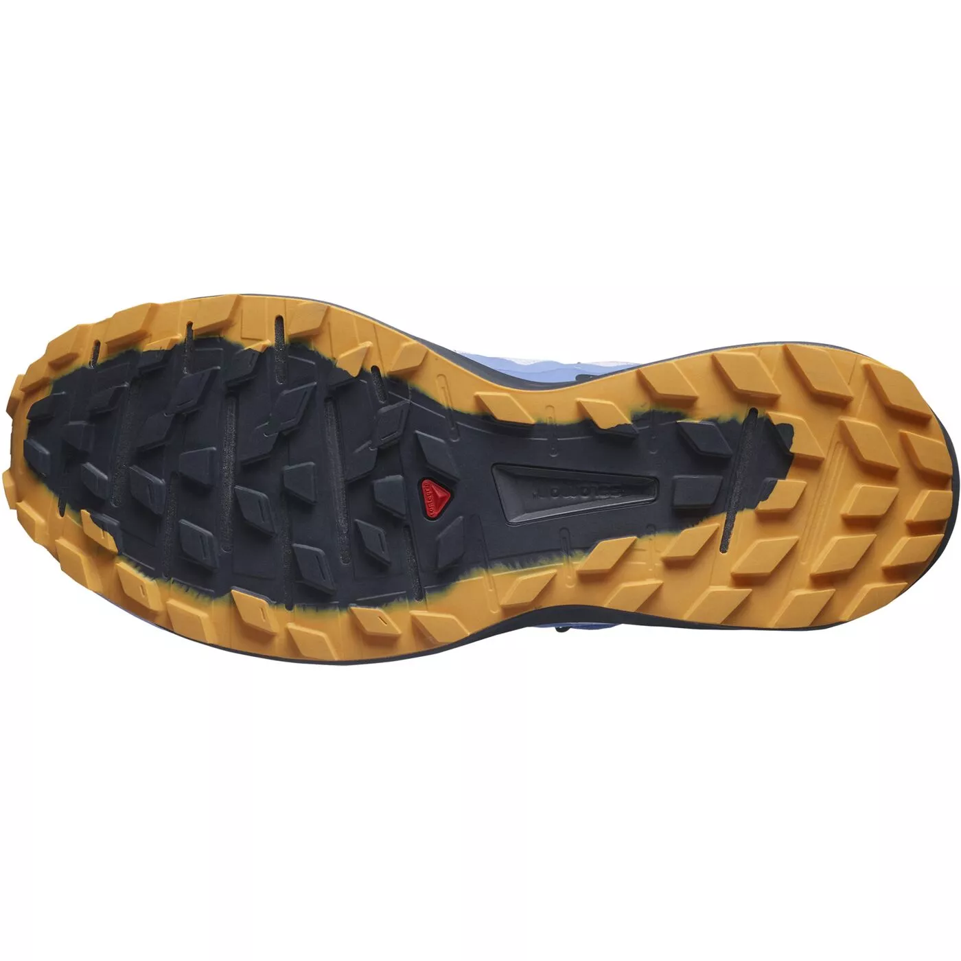 Salomon sense ride purple cheap