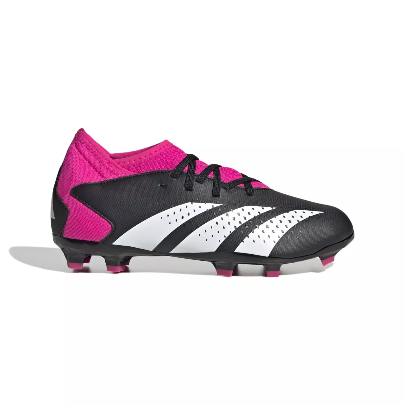 White and black predators online