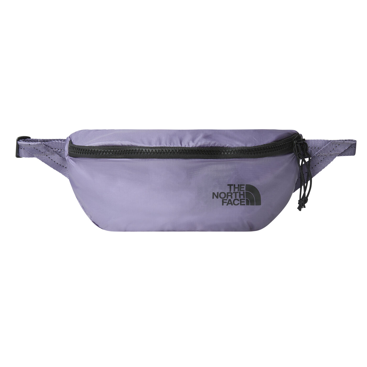 The north face flyweight bag 2025