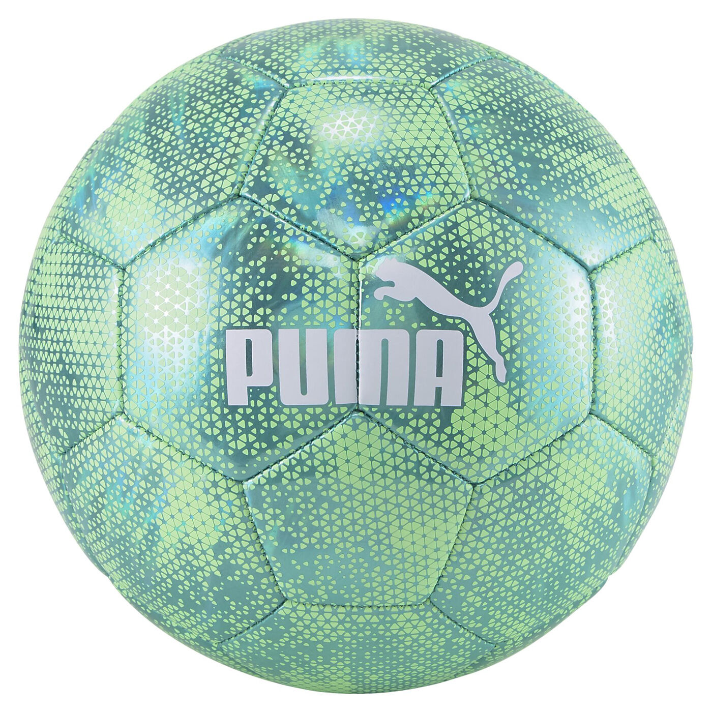 Puma evospeed soccer ball discount