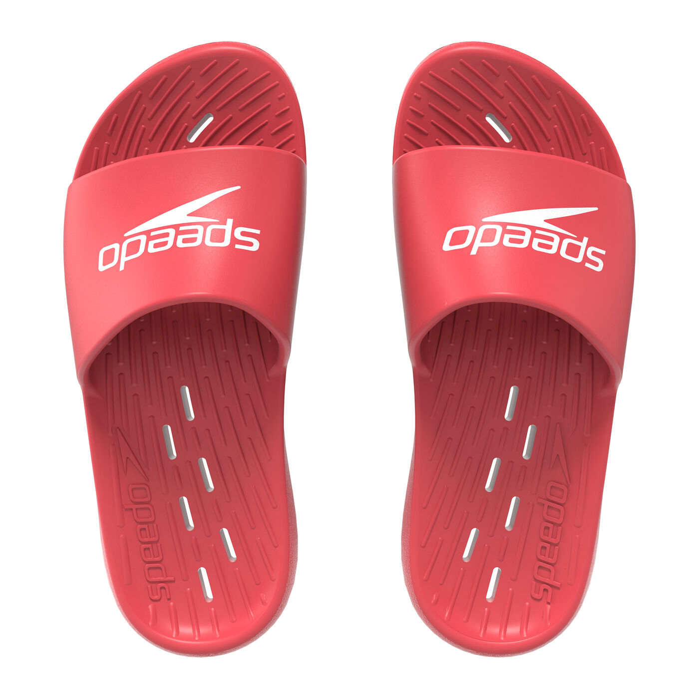 Herren Flip Flops SPEEDO SPEEDO SLIDES ONE PIECE AM 8 1222916712
